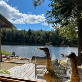 Algonquin Waterfront and Winter Paradise With Sunsets, hotel em Algonquin Highlands