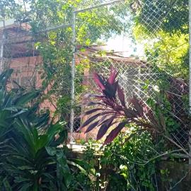 Isi's Guest House