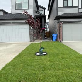 Super house, hotel en Calgary