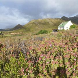 Witteklip self-catering farm