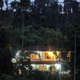 Lush Lagoon Homestay