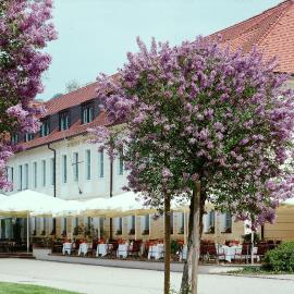 Schloss Hotel Dresden Pillnitz、ドレスデンのホテル