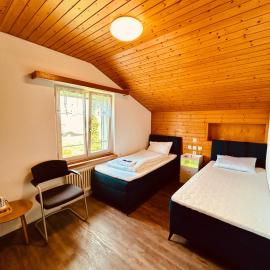 Dreibettzimmer mit eigenem Bad und Seeblick, Hotel in Heiden AR