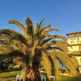 Hostal la Caleta, Hotel in Mar de Cobo
