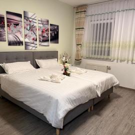 Käthe-Kollwitz Straße 54, F1, hotel em Altemburgo