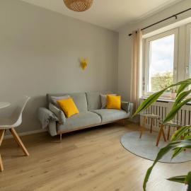 Löwe Apartment Gelb Tiengen Altstadt