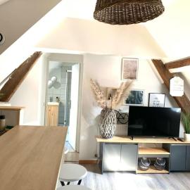 Tres Agréable logement a Vierzon, parking gratuit a proximite'