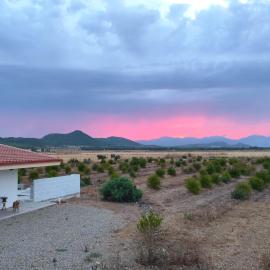 Agri B&B Zayna Sardinia, hotel em Villaspeciosa