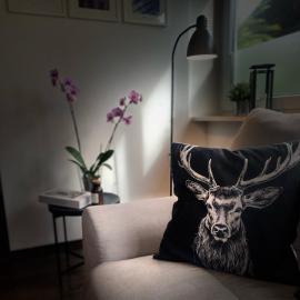 Ferienwohnung Hella, hotel em Kippenheim