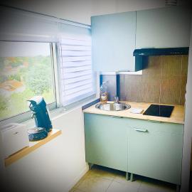 15G Bron centre hôpital Desgenette Vinatier