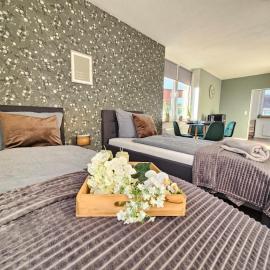 Fewo Friends, 2 Apartments, Businesswohnung, Monteurzimmer, hotel u gradu Zalcgiter