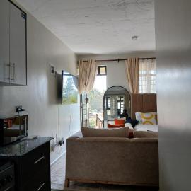 A cozy spacious studio apartment with a balcony