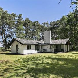 2689-Nexo-Munkegardsskoven-6