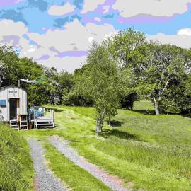The Mallard Shepherd's Hut with Hot Tub