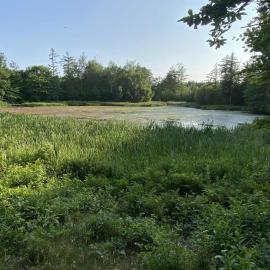 Købmandsgården i Blære, hótel í Års