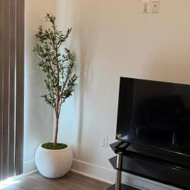 Modern 1-Bedroom Apartment in Downtown Baltimore