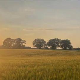 Tranquil detached barns in Sherborne St John