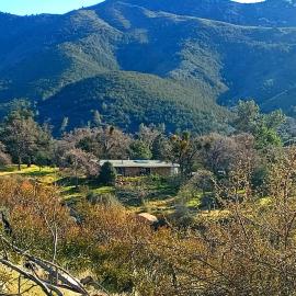 Secluded Oasis with View, and hot tub on 50 acres，Bodfish的飯店