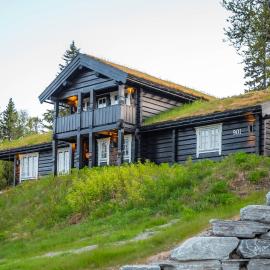 Trysilfjellet Nord 901