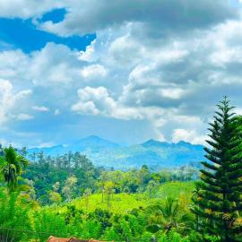Crest Cold Homestay