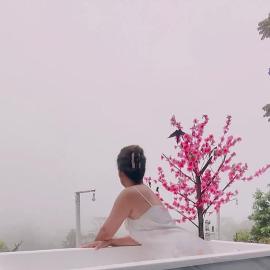 พูลวิลล่าminiบ้านสวนเกดกนกเขาค้อ, hotel in Phetchabun