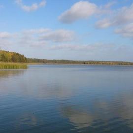 Ferien am Goldberger See