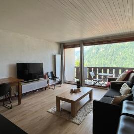 Studio Châtel 4 pers, balcon sud-ouest, parking