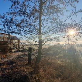 Tiny House Lau at Glamping Verbaarum, hotel u gradu Bedum
