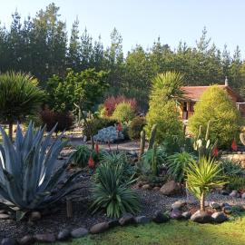 Eco Cabañas Algarrobo, hotel a Algarrobo