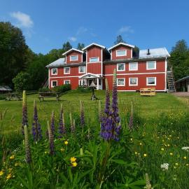 Fyrbo, hotel in Molkom