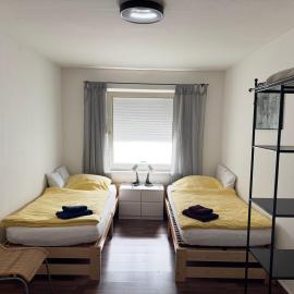 Schleusenapartment mit Klimaanlage und Kamin, hotel in Kleinostheim
