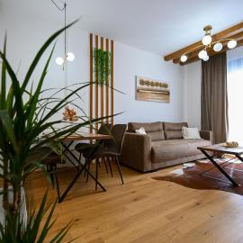 Apartman Borova Oaza