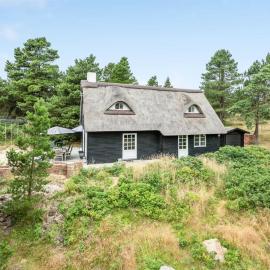 Holiday Home Risto - 2-3km from the sea by Interhome, hotel en Vesterhede