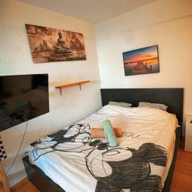 Studio next to Sihlcity!