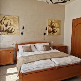 Apartmán so vstupom do privátneho wellness a výhľadom na hrad, מלון בטרנצ'ין