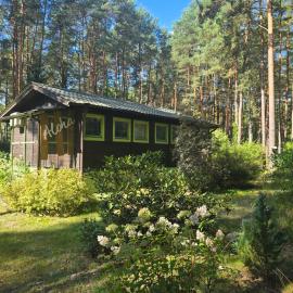 Aloha Summer Cottage، فندق في Łaziska