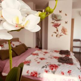 Julia Apartament