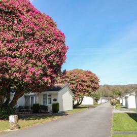 Willow Lodge, hotel in Liskeard