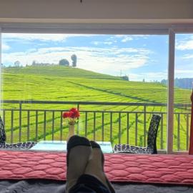 Tea Garden stays, hotel a Ooty