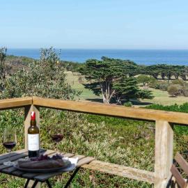 Cleversley Cottage - Ocean Views Pets Golf, Hotel in Flinders