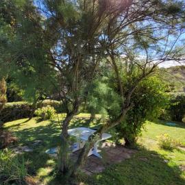 Gîte du grand sapin bleu