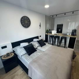 Luxury Premium Apartment Tarnów City, hotel in Tarnów