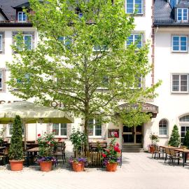 Hotel Weisses Ross, hotel di Memmingen