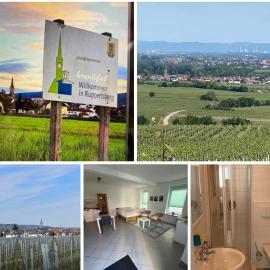 Pfalzzimmer, hotel v destinácii Ruppertsberg