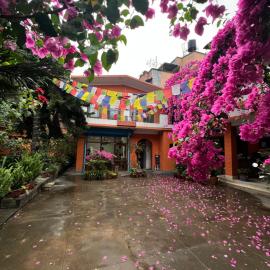 Sun Rise Cottage, Hotel in Kathmandu