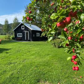 Villa Ragunda, хотел в Hammarstrand