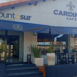 Hotel Punto Sur Avenida, hotel en Malargüe