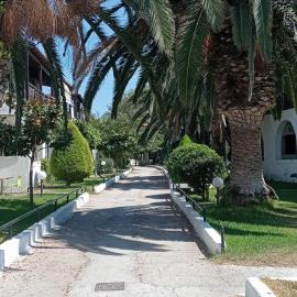 Teo Apartment The Palm Oasis house 80m from the sea