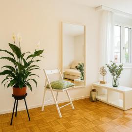 Bright furnished Studio with workspace and garden area near Zurich, hotel Würenlos városában