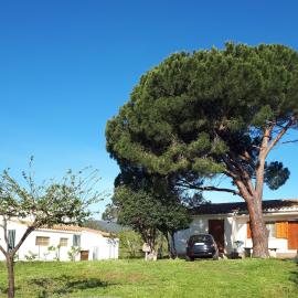 Casetta Patrizia, hotel a Capo Comino